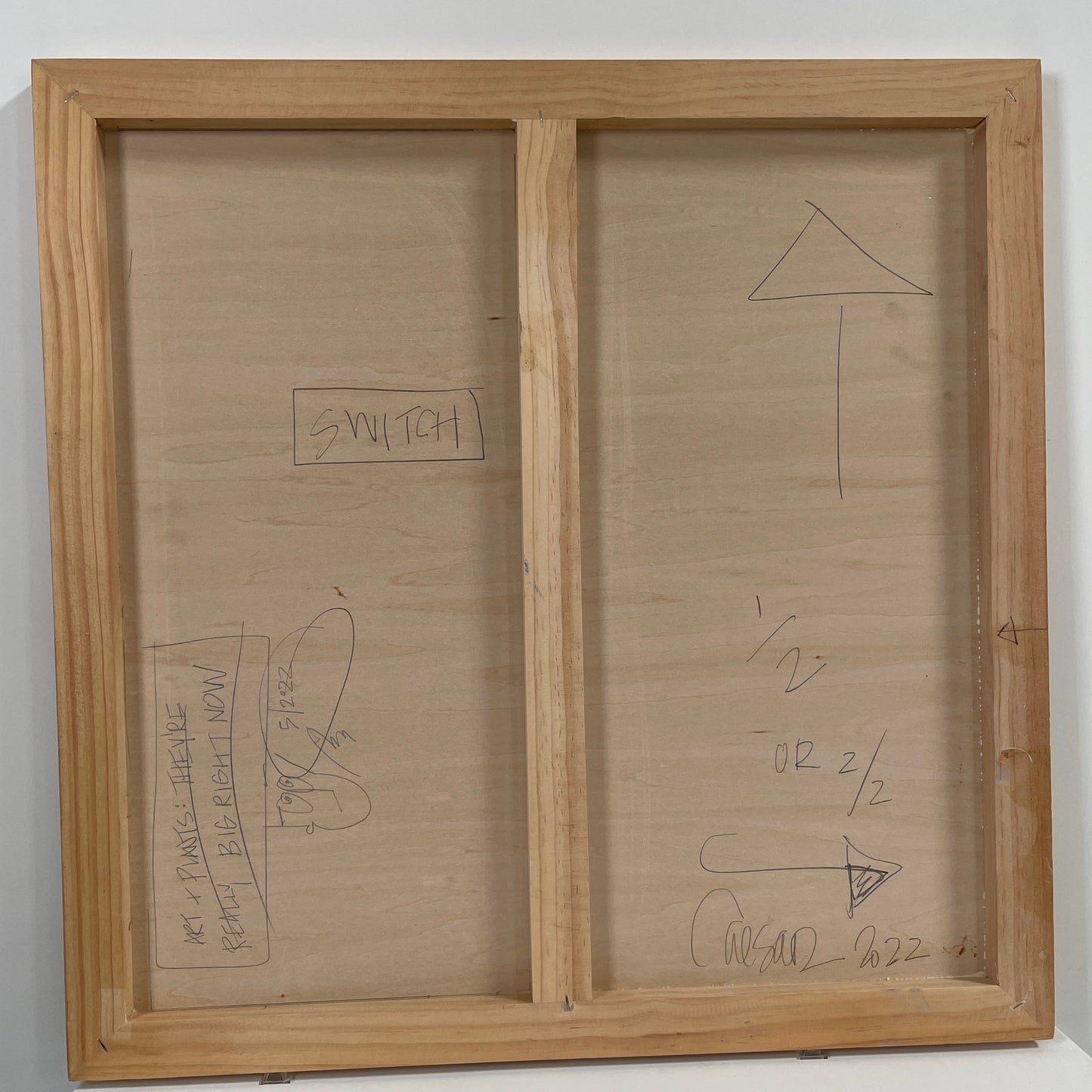 Allison Caesar, Peinture : Switch
